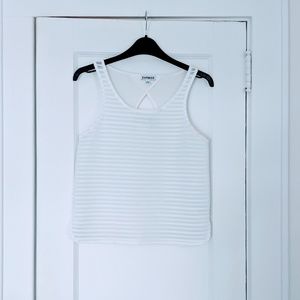 Express Sheer Striped Detail Top